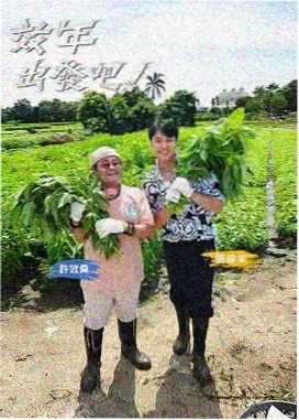 声场实验室海报